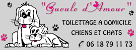 Toilettage Allier et Creuse